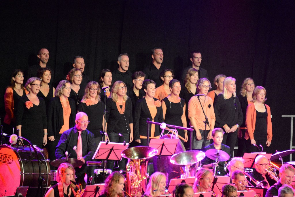 ../Images/Jubileumconcert 100 jaar Harpe Davids 222.jpg